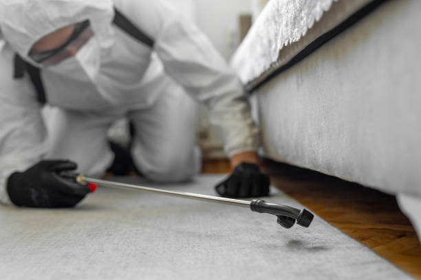 Professional Ant Control technician working in Desert View Highlands, CA