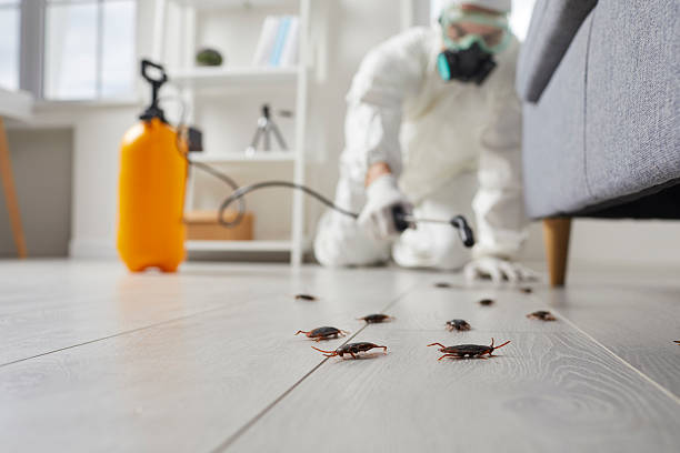 Trusted Cockroach Control service in Desert View Highlands, CA - Nex Pest Control